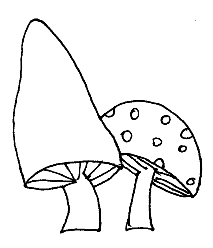 shrooms