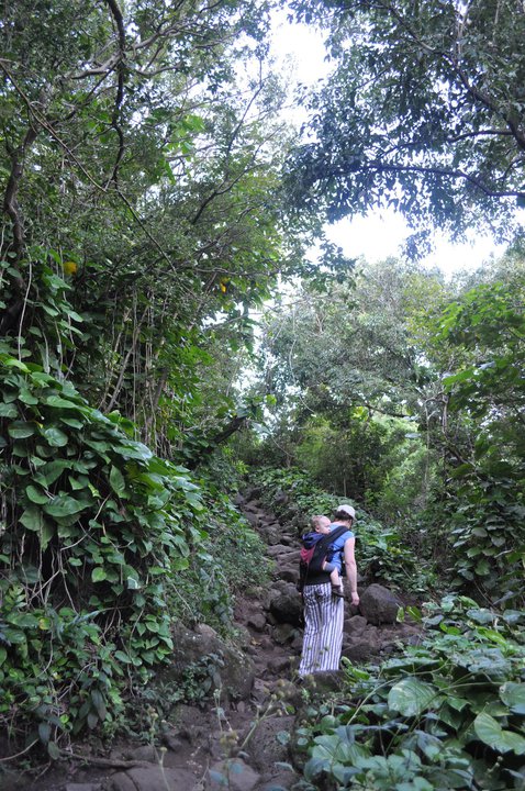 hiking1