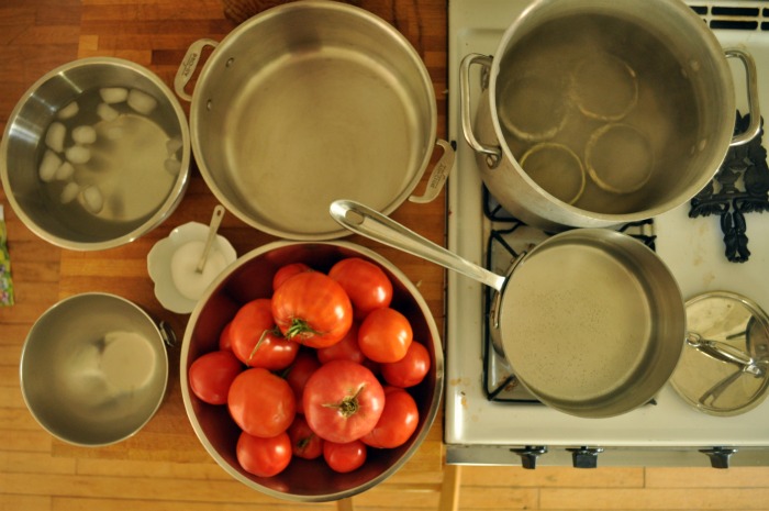 august tomatoes