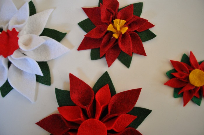 pointsettias
